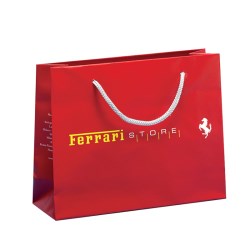Laminated Paper Bags paper shopping bags with rope handles